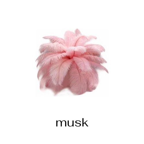 cashmere musk