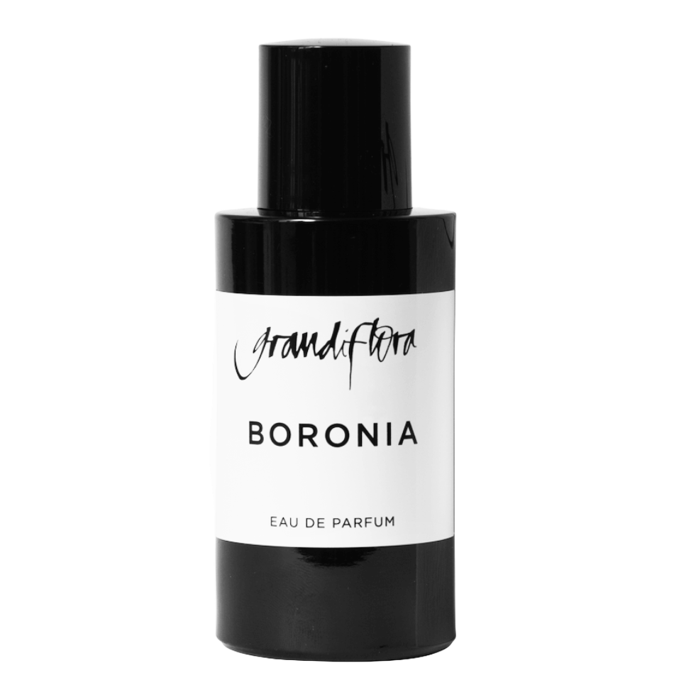 Boronia