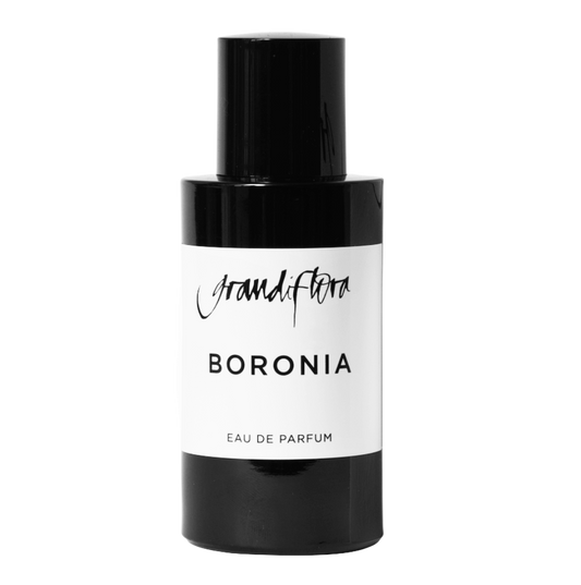 Boronia