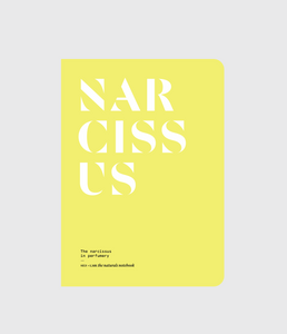 Narcissus in Perfumery